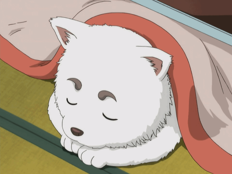 动漫 卡通 漫画 头像 800_600 gif 动态图 动图