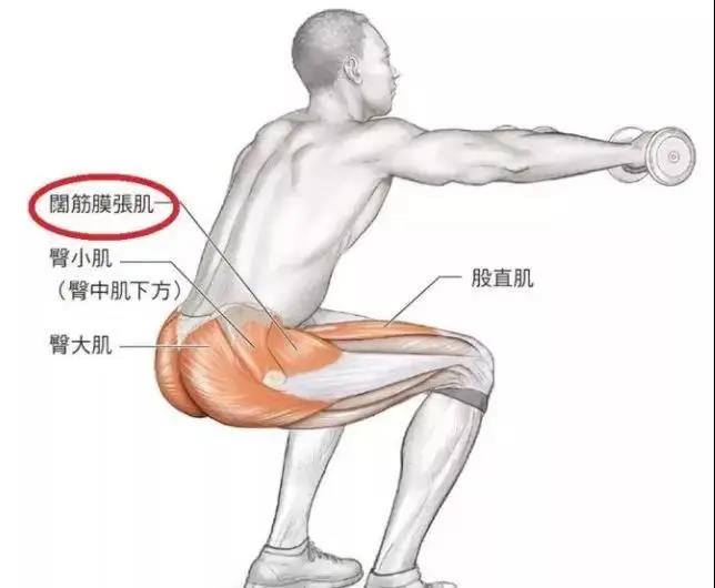有一些人 臀部侧面是凹陷进去的,这往往代表着应该加强臀中肌训练了.