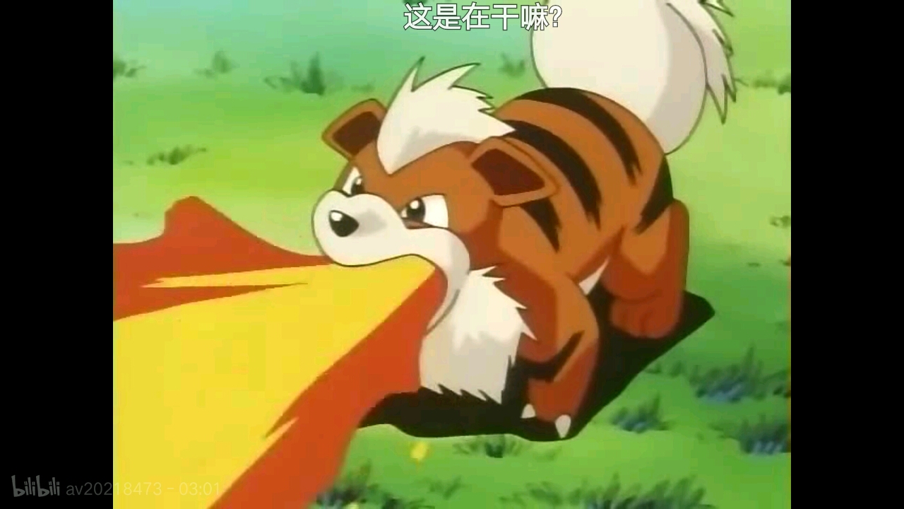 风速狗