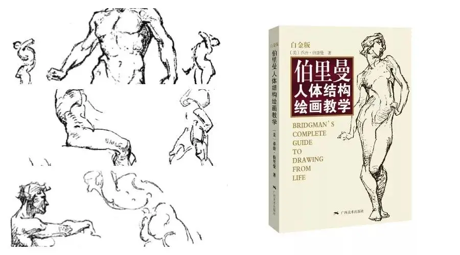 【自学绘画必看】透视,人体教程书籍分享