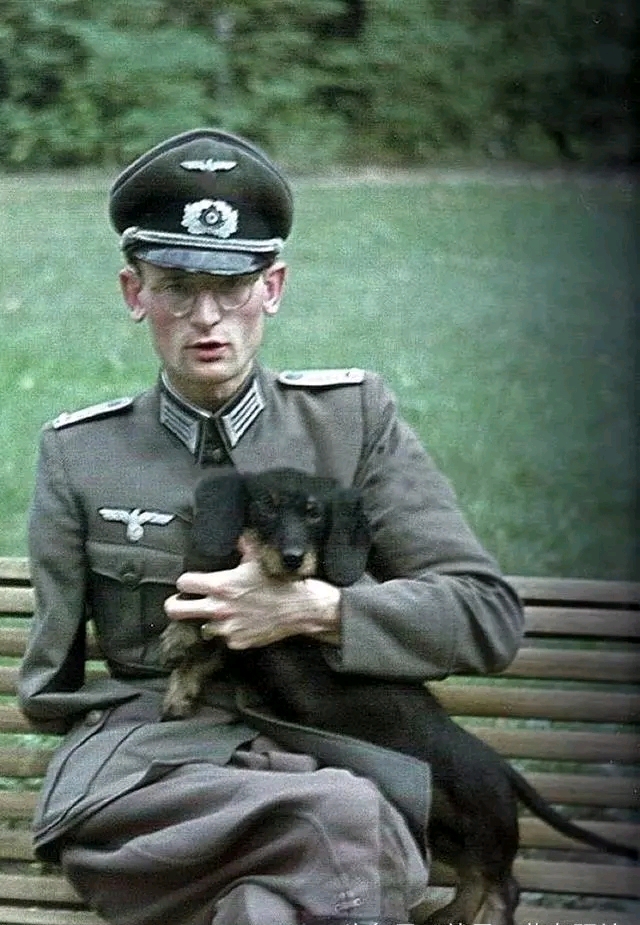 1940年,柏林公园里坐着的一个失去了手臂的,德军国防军军官抱着宠物狗