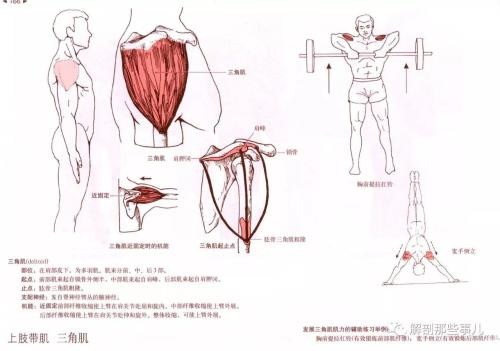 高潮是什么生理原理_高潮脸表情是什么样子(2)