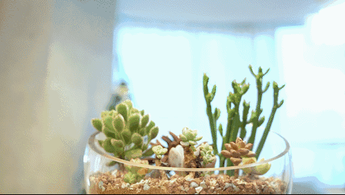 一篇干货教你变身