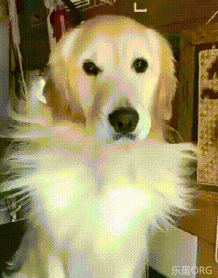 我只想做个安静飘逸的美男子 32.