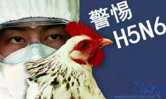 北京确诊一例h5n6禽流感病例,患者接触的禽类来自外省