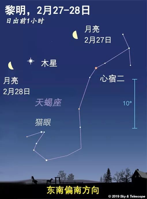 黎明时亏月经过天蝎座,掠过木星.