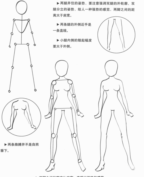 教程零基础初学入门画漫画身体部分教程学习