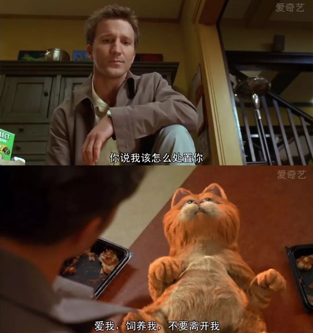 电影《加菲猫》