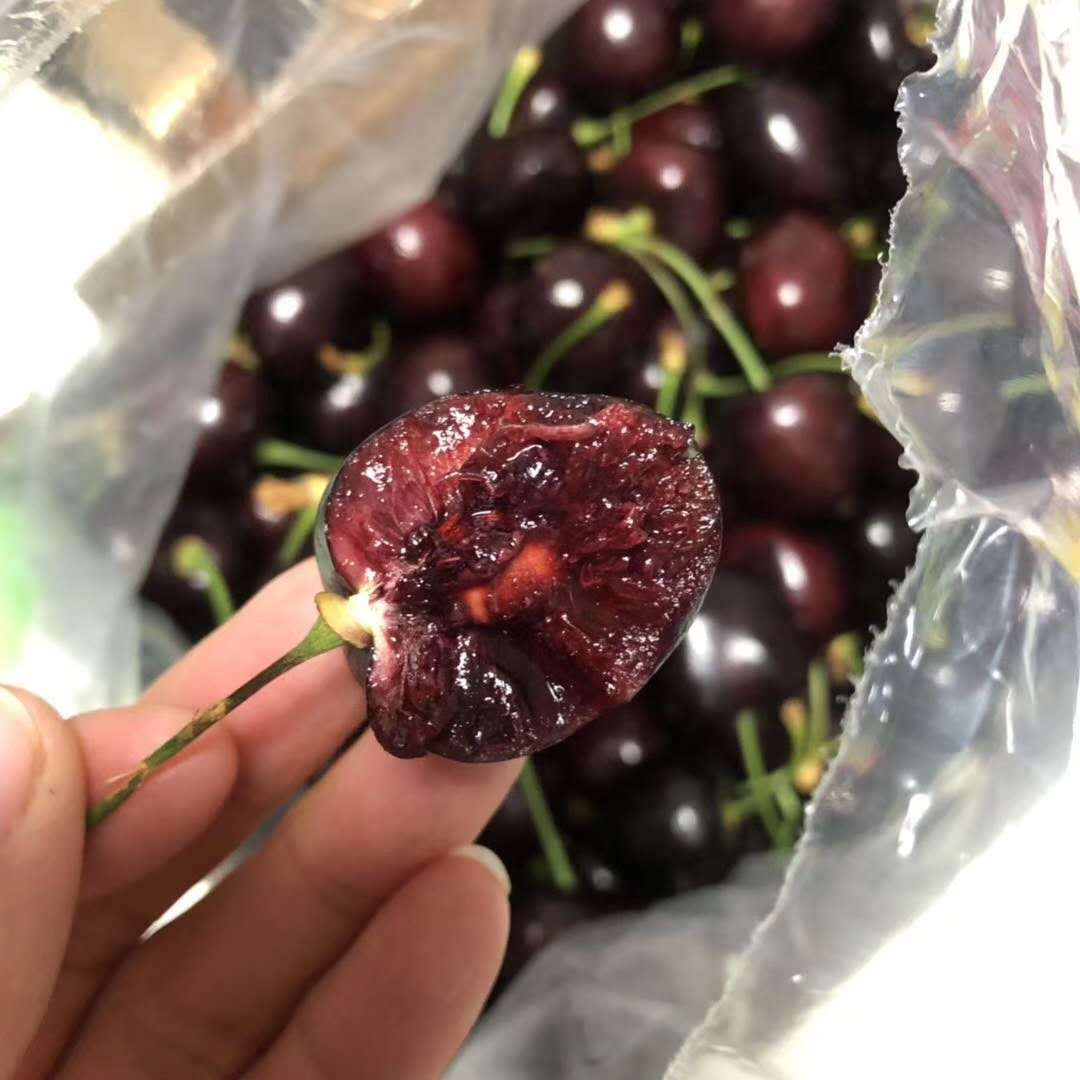 智利车厘子