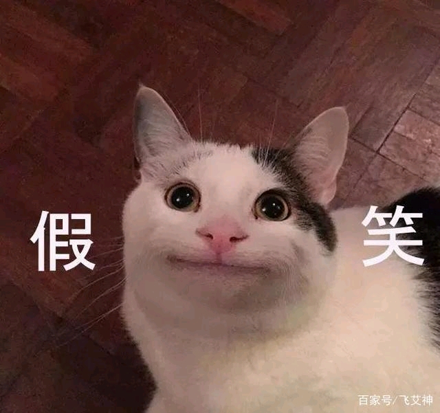 学生文案沙雕,学生文案沙雕搞笑