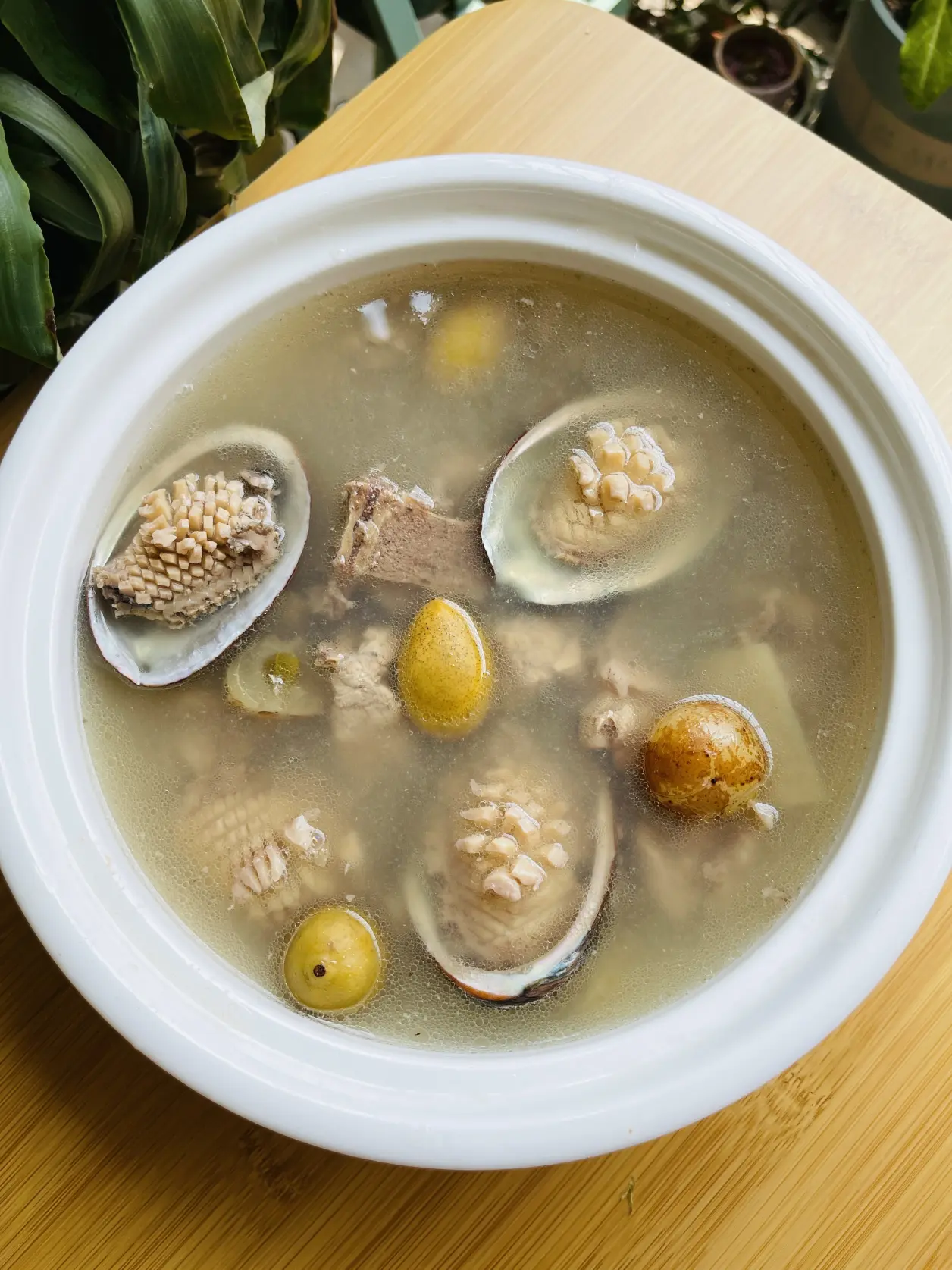 鲍鱼油柑橄榄汤星期五 鲍鱼油柑橄榄汤新鲜的油柑8颗橄榄10颗拍裂开备用鲍
