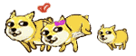 史上最强doge表情包合集收图小伙伴快来