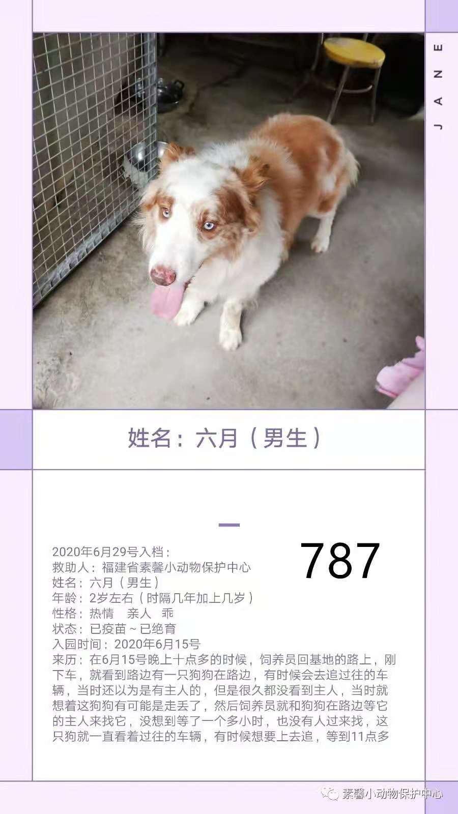 6b20fbffffa23825a52a4bea7e9ff0abe37ee968.jpg