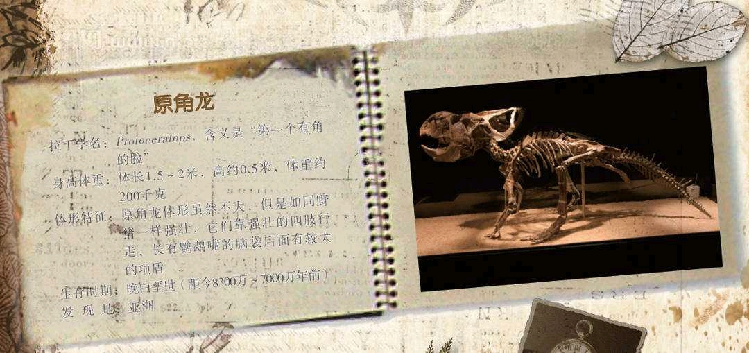 偷蛋贼 伶盗龙沿着起伏的沙丘边缘慢慢地向原角龙群靠近,这个时候它