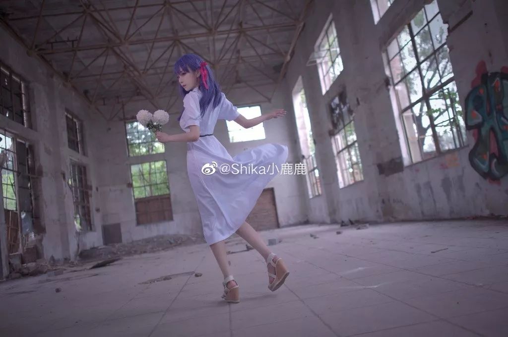 间桐樱@shika小鹿鹿 phx@用鳍按快门的海豹_白集 staff@ryona风间