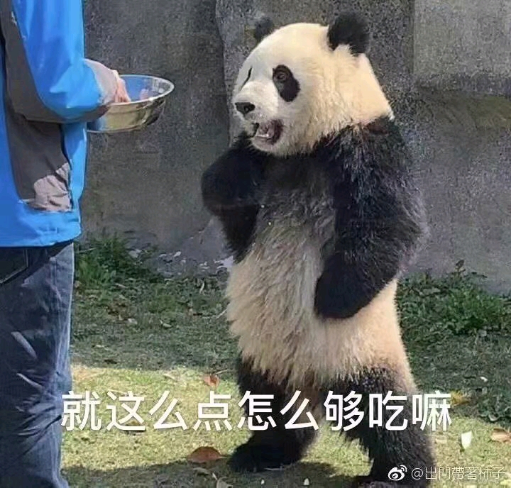 熊猫表情包欢迎查收