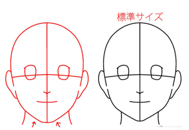 如何绘画动漫人物的脸型?青年人的头部协调画法是什么样的?