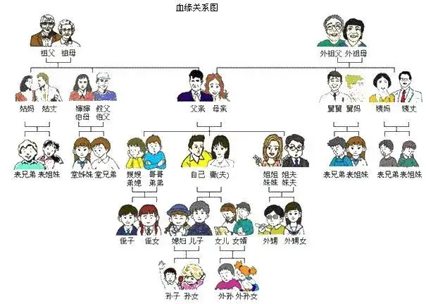 外祖父母、孙子女、外孙子女，注意税务和房管局对于直系亲属认定不同）