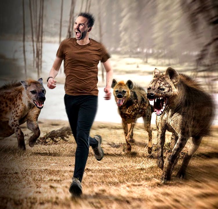 比特犬和鬣狗大战 6c0e2230d2ab01e03f6479b461e71fd8a7269328.jpg