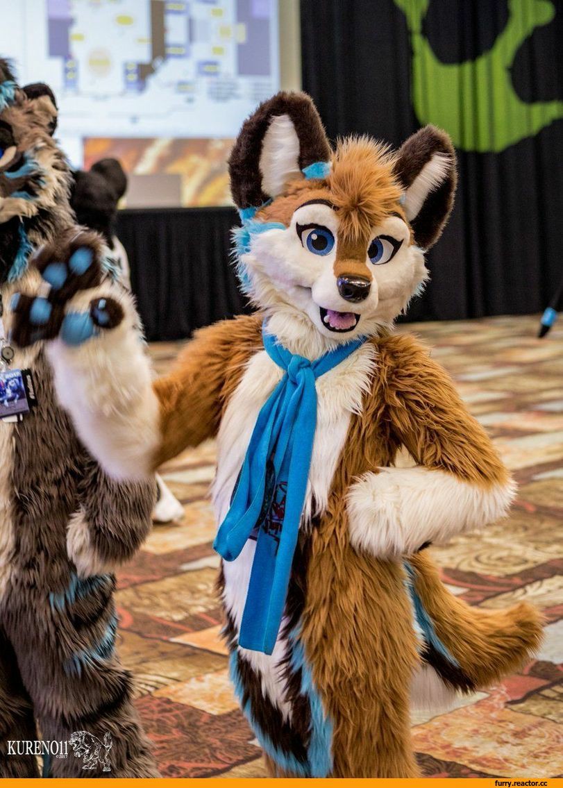 本文禁止转载或摘编 狐狸 兽人 兽装 fursuit furry