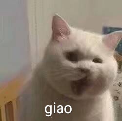 一gay我里giao