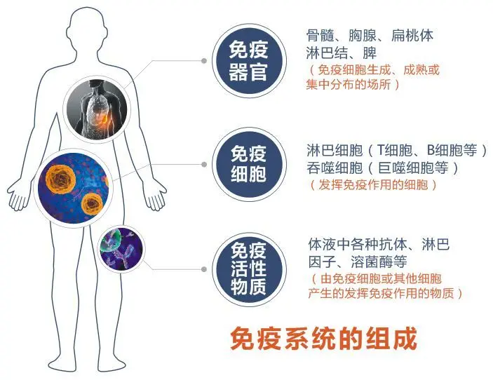 地球上万物都是相生相克的，那么病毒在自然界的天敌是什么？