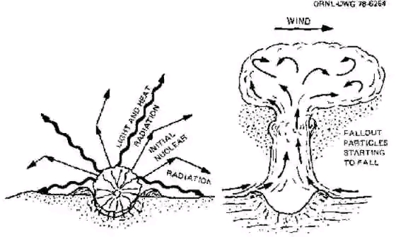 6eac03b28dd3cf0988541e3e219756cd34124a0e.jpg