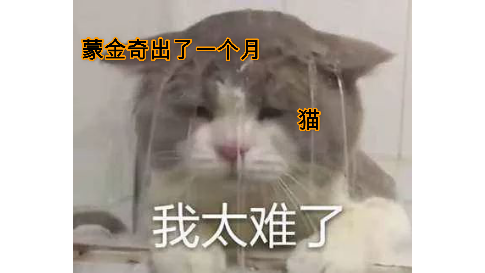 6f0ab669693f6e9309bc6bc5c0535c511d610e2e.png