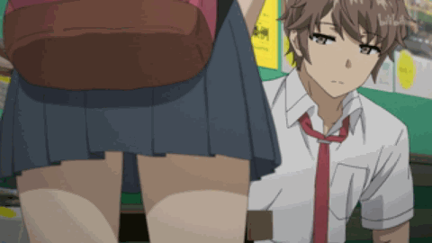 第二卷青春猪头少年不会梦到小恶魔学妹 第五章 拉普拉斯的小恶魔