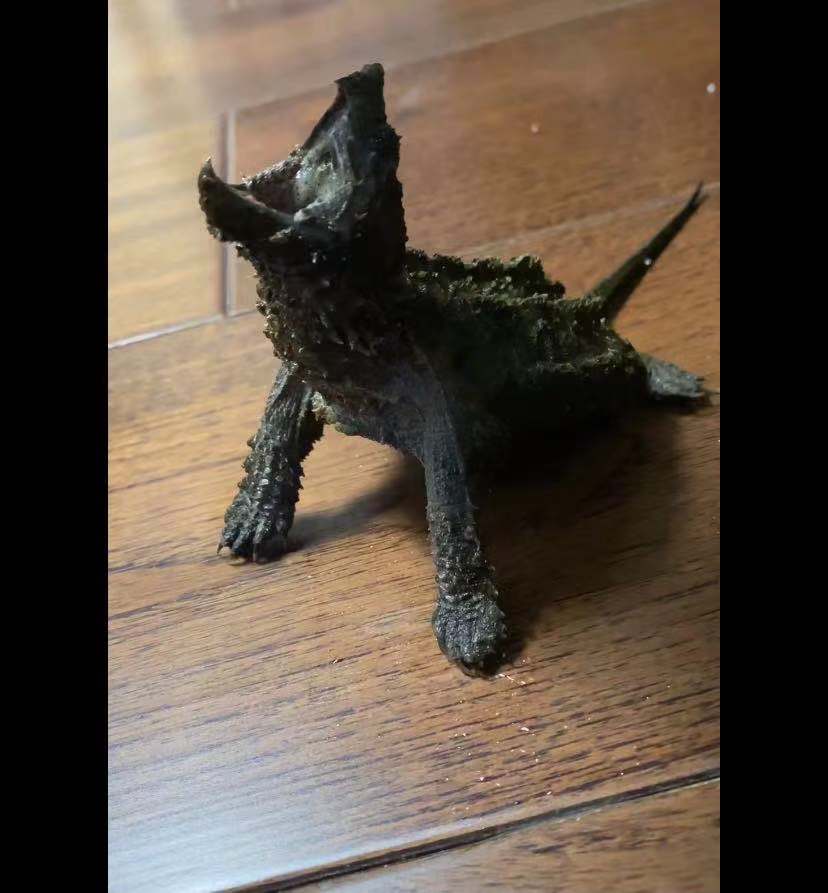 封面头图制作素材