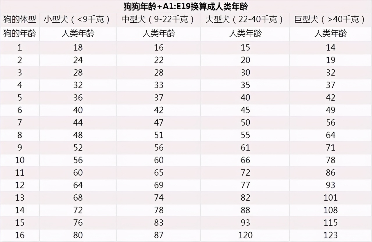 这是狗狗变老的表现,对很多事情都提不起兴趣了.睡觉时间比以前多了.