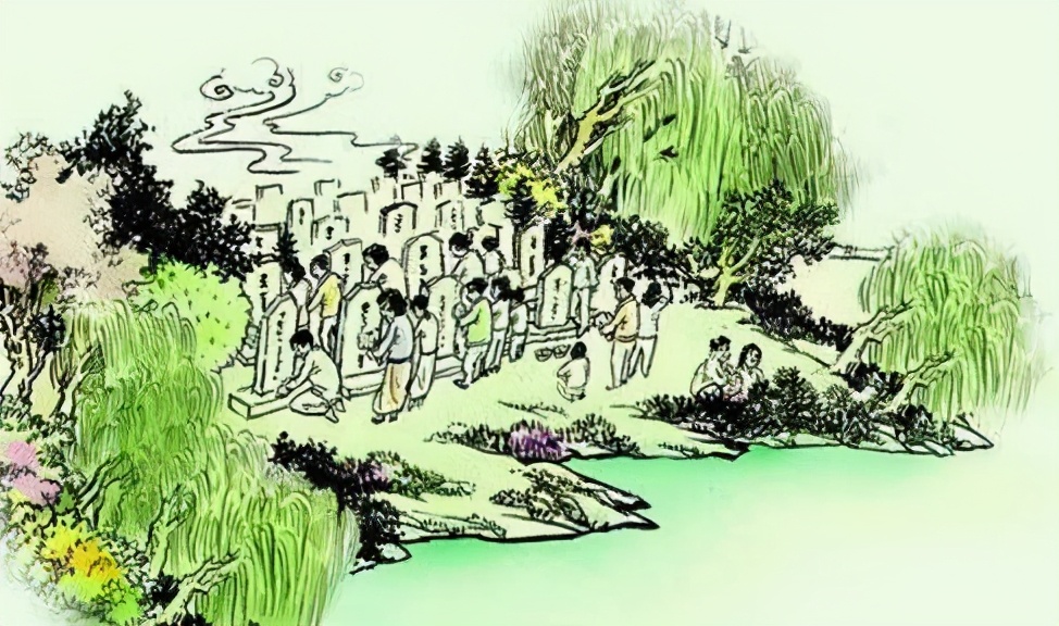 清明节插柳