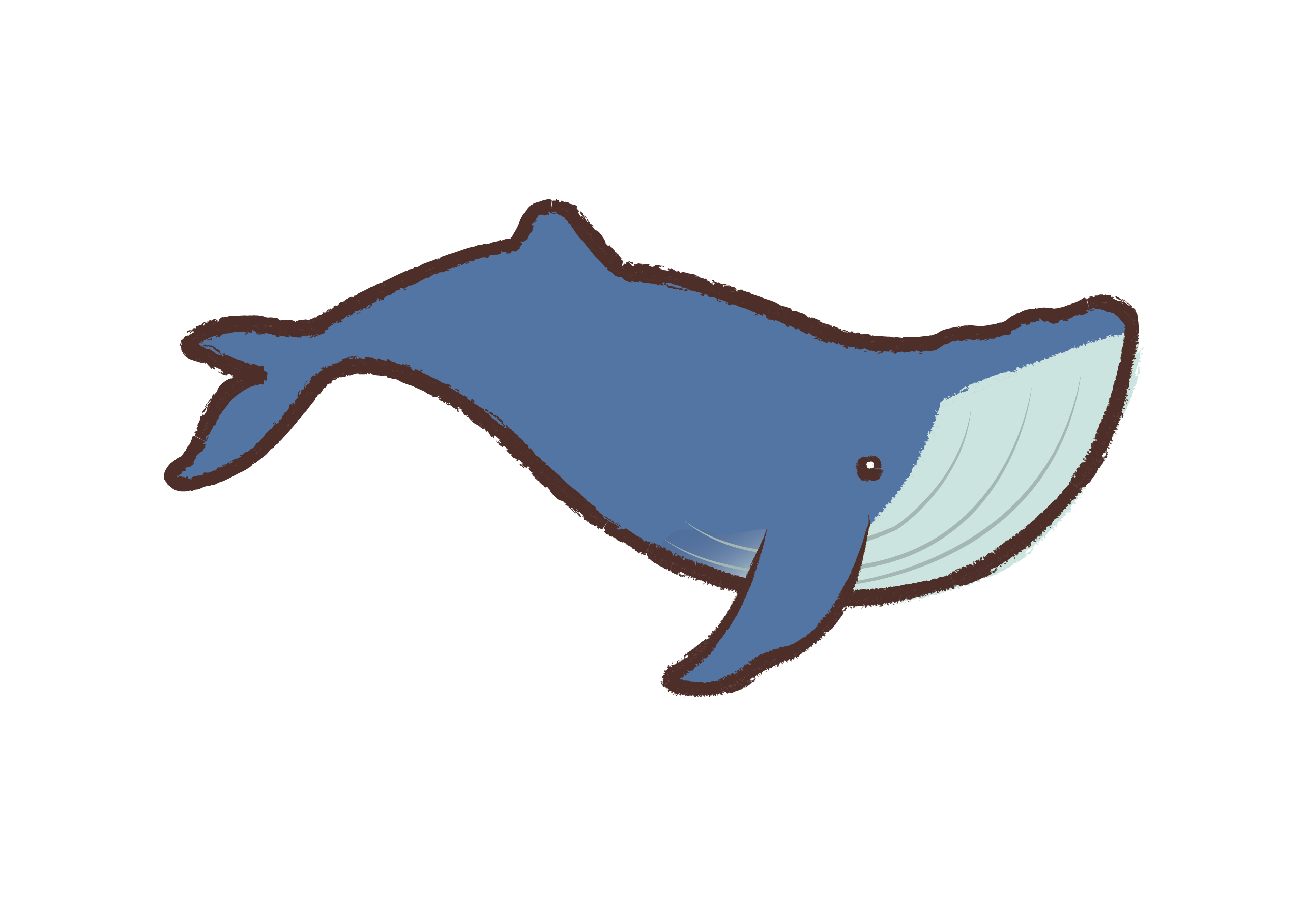 重复的纹理与手绘海洋哺乳动物:蓝鲸，白鲸和抹香鲸。插画图片素材_ID:425334922-Veer图库