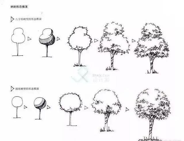 花草的生长规律和结构关系 ▲花草收边的形式 ▲景观园林的表现