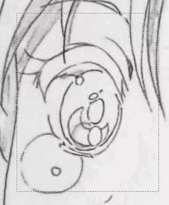 菟什么丝成语_成语故事图片(2)