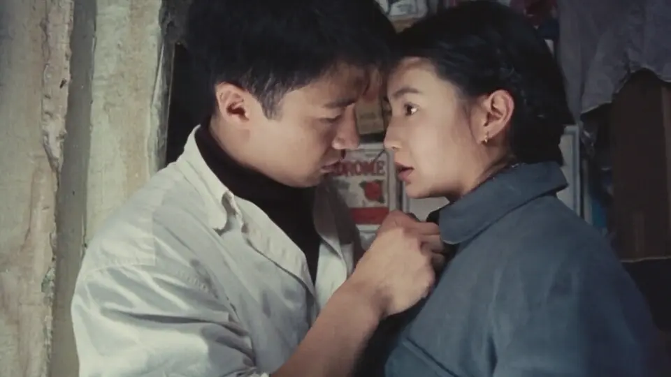 其实一切早已注定——《甜蜜蜜》(一)