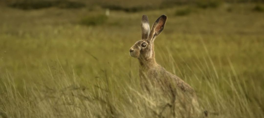 名副其实的最后一秒钟反转