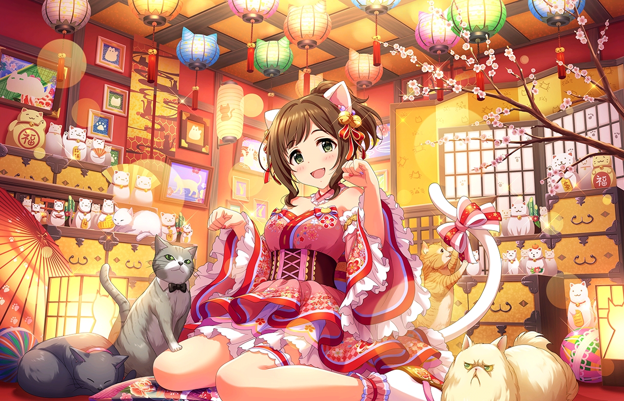 偶像大师灰姑娘女孩壁纸 前川未来篇上