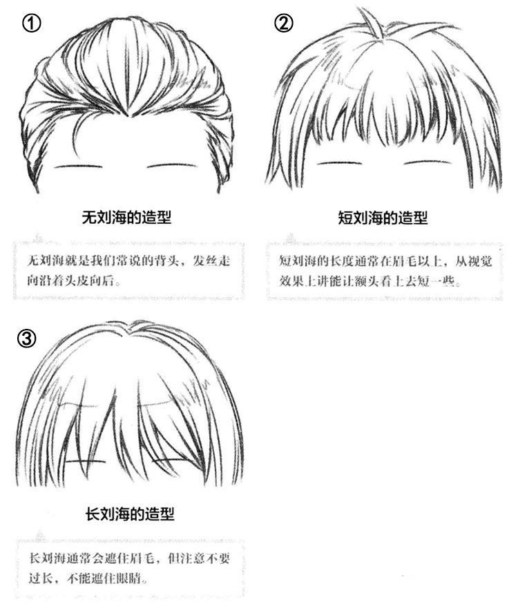 刘海的绘制范围