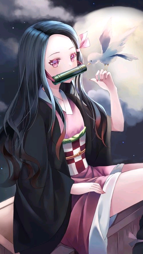 祢豆子壁纸