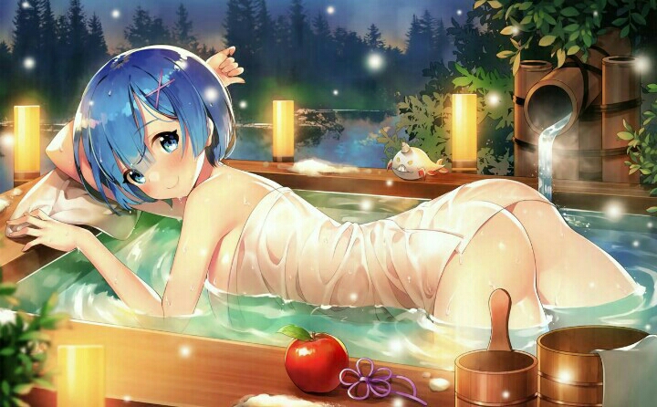 蕾姆的精美壁纸!