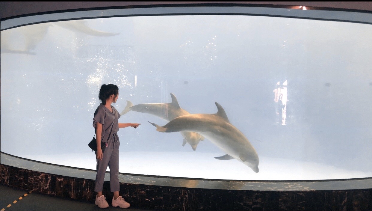 海洋大世界攻略 7130c58b7df4c49c0ab4da7ee7b5197c75f83e5b.jpg