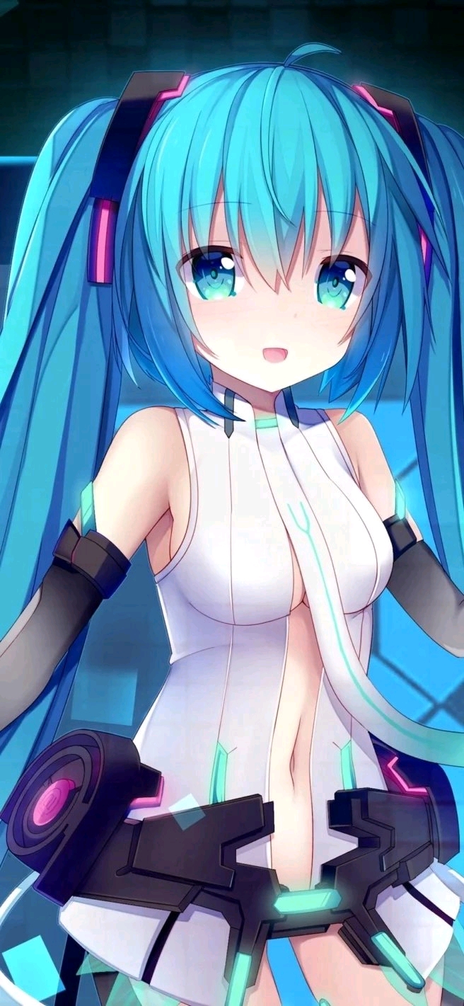 【二次元壁纸】no.2:初音未来竖屏壁纸
