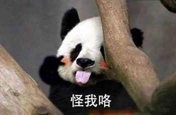 熊猫」 每天定时放送各类表情包,有「搞笑」「逗比」「撕x」「套路」
