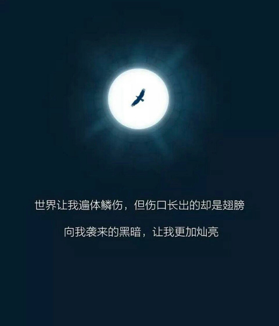 谢谢喜欢,有缘再见.