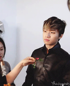 bigbang 2014 seasons greetings#daesung