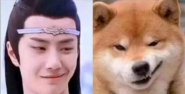 首先是羡羡,笑起来眯着眼的阿羡和一只同样眯着眼的小泰迪撞脸了,两个