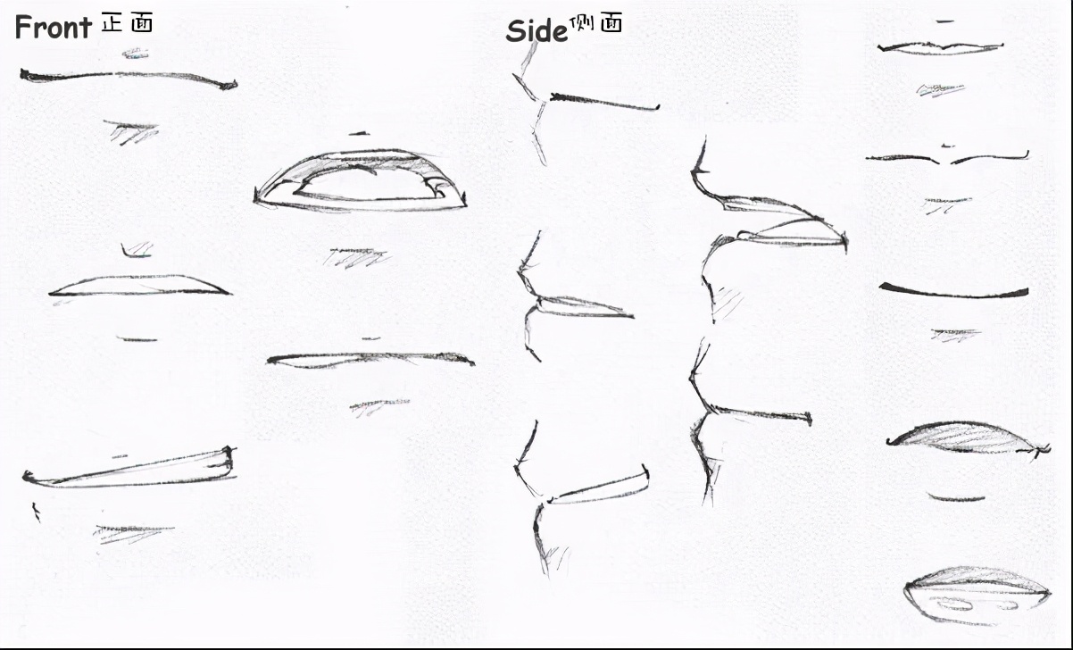 71fd53c0a87af11fa3333fa36e96546a8e02dcb9.jpg