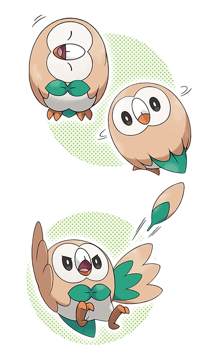 rowlet外文名木木枭中文名阿罗拉地区的初学者宝可梦,属性为草属性和