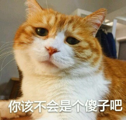 一只猫是如何毁灭地球的